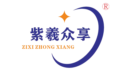 Shanghai ZiXi Technology Co., Ltd.